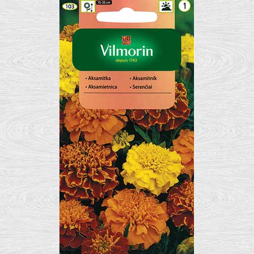 1 szt, Aksamitka rozpierzchła pełna Mix - Nasiona: Ilość w opakowaniu: 1 g