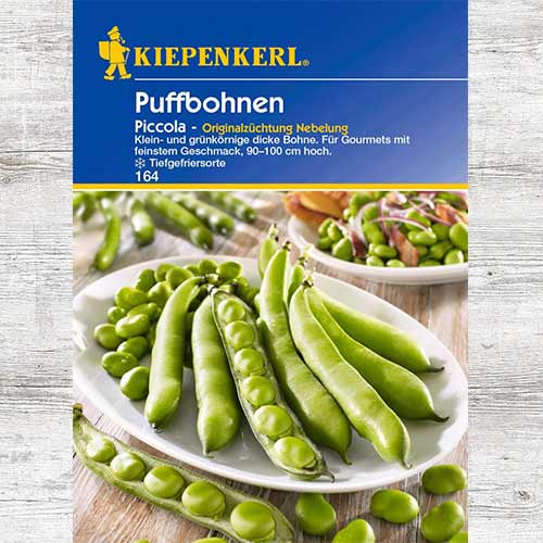 1 szt, Bób ogrodowy Piccola - Nasiona: Ilość w opakowaniu: 1 opak