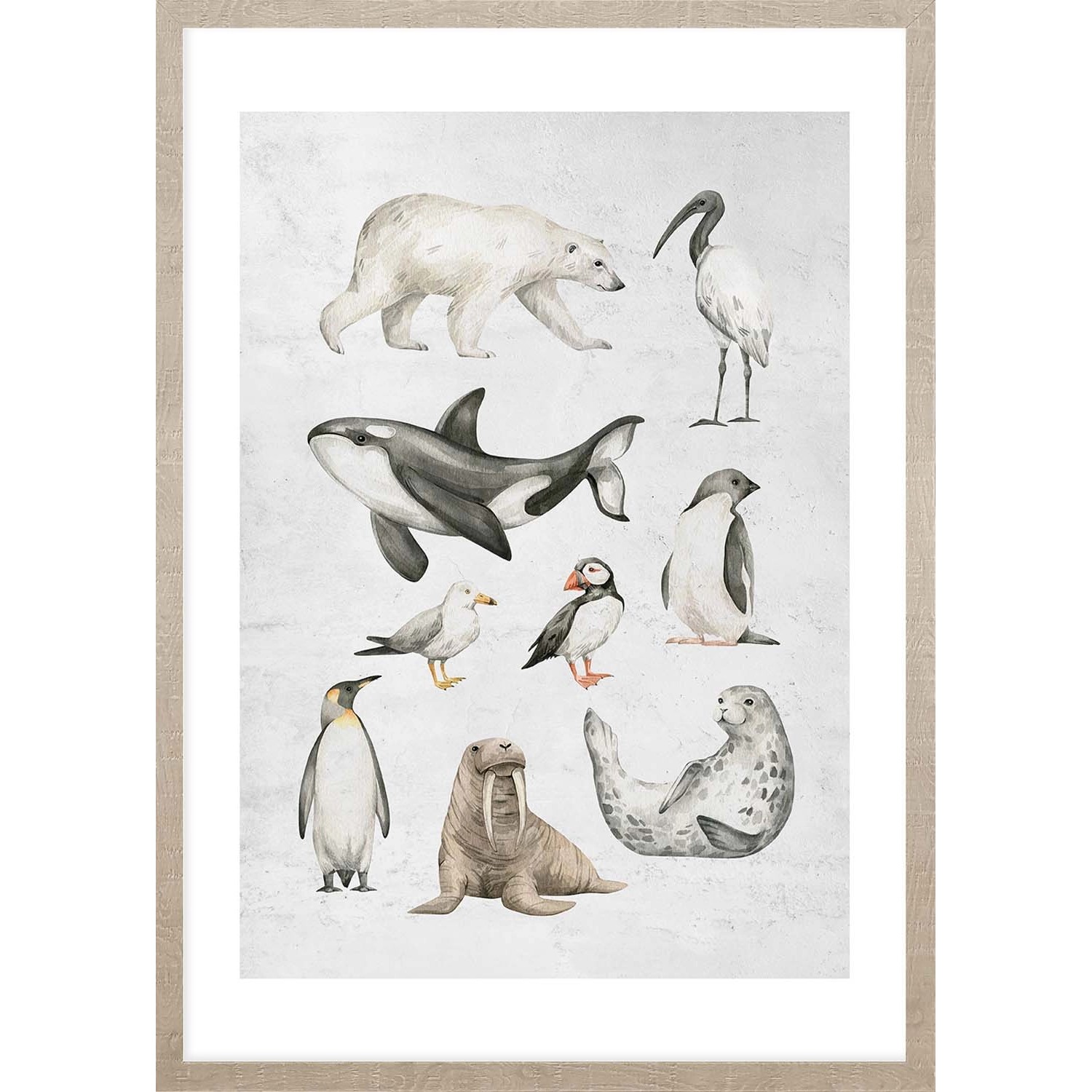 ARS LONGA Obraz OCEAN ANIMALS 53 x 73 cm