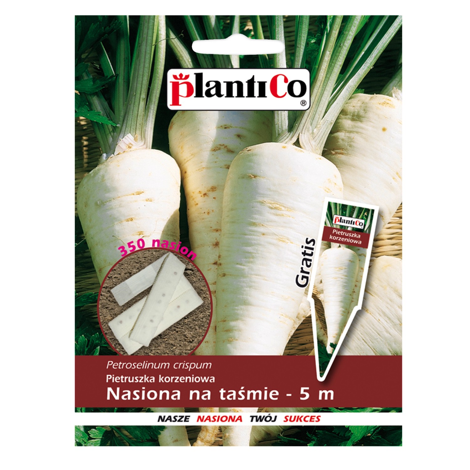 Pietruszka Kaśka - nasiona na 5 m taśmie