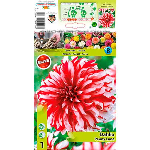 1 cib, Jiřina Penny Lane - : Monžstvo balíkov: 1 cib