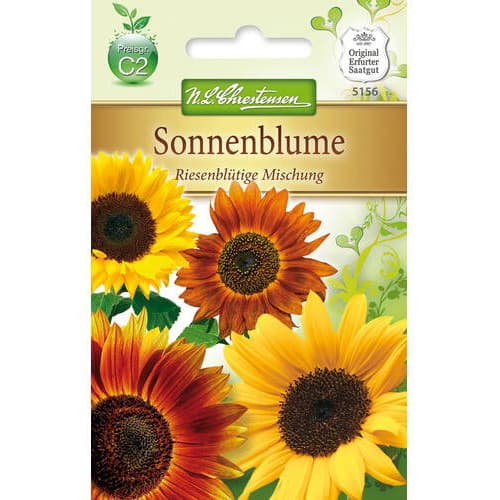 1 szt, Sonnenblume Riesenblütige Mischung - Samen: Ilość w opakowaniu: 1 Stück