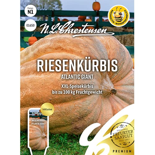 1 szt, Riesenkürbis Atlantic Giant - Samen: Ilość w opakowaniu: 1 Stück