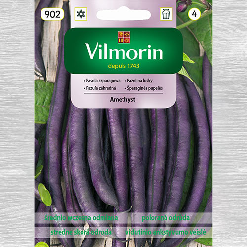 1 szt, Fasola szparagowa fioletowa karłowa Amethyst - Nasiona: Ilość w opakowaniu: 30 g