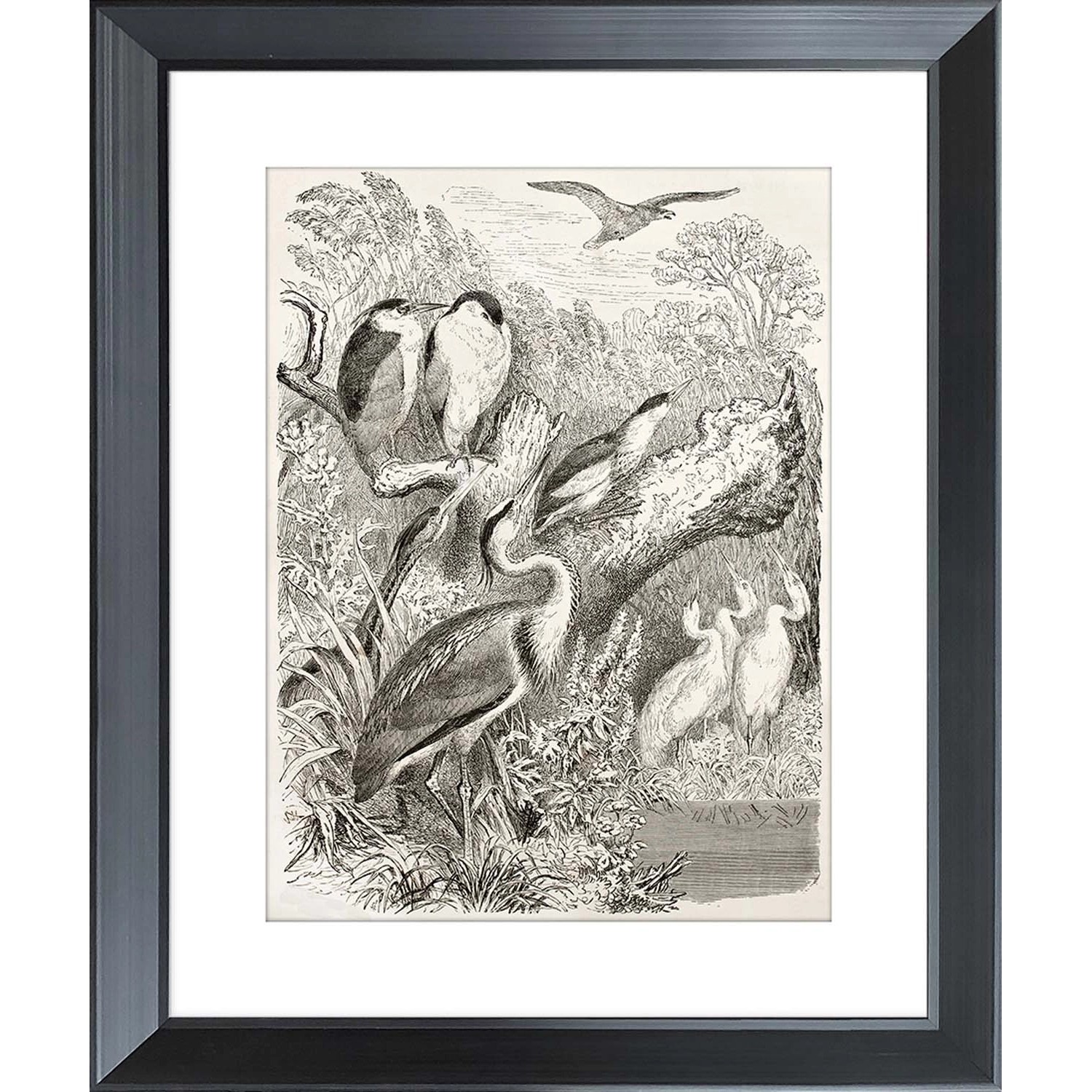 ARS LONGA Obraz BIRDS GATHERING 45 x 55 cm