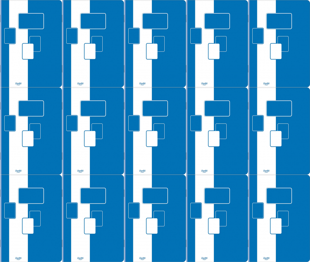 15x Zeszyt w kratkę Bantex Budget, A4, 60 kartek, biało-niebieski