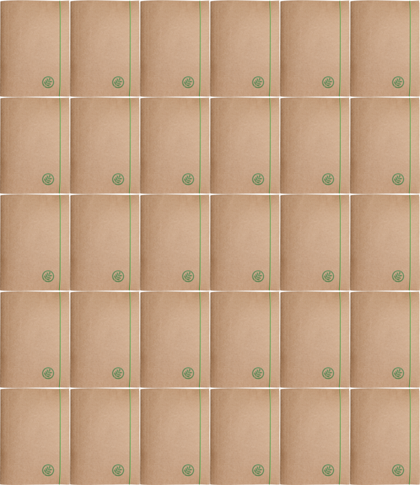 30x Teczka kartonowa z gumką Barbara Eco, A4+, 300g, ziemia