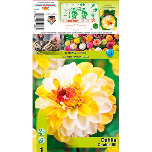 1 cib, Jiřina Double Jill - : Monžstvo balíkov: 1 cib