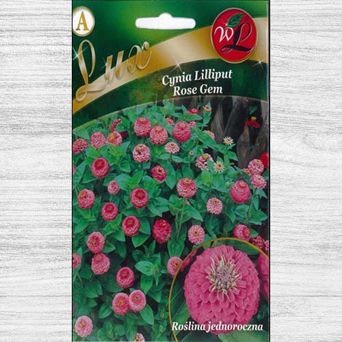 1 szt, Cynia wytworna Liliput Rose Gem - Nasiona: Ilość w opakowaniu: 0.5 g