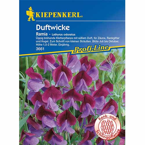 Groszek pachnący Ramia - Nasiona. Ilość w opakowaniu: 1 opak - GradinaMax