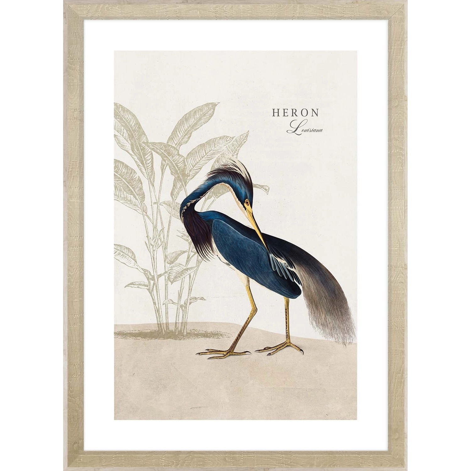 ARS LONGA Obraz HERON LOUISIANA 55 x 75 cm