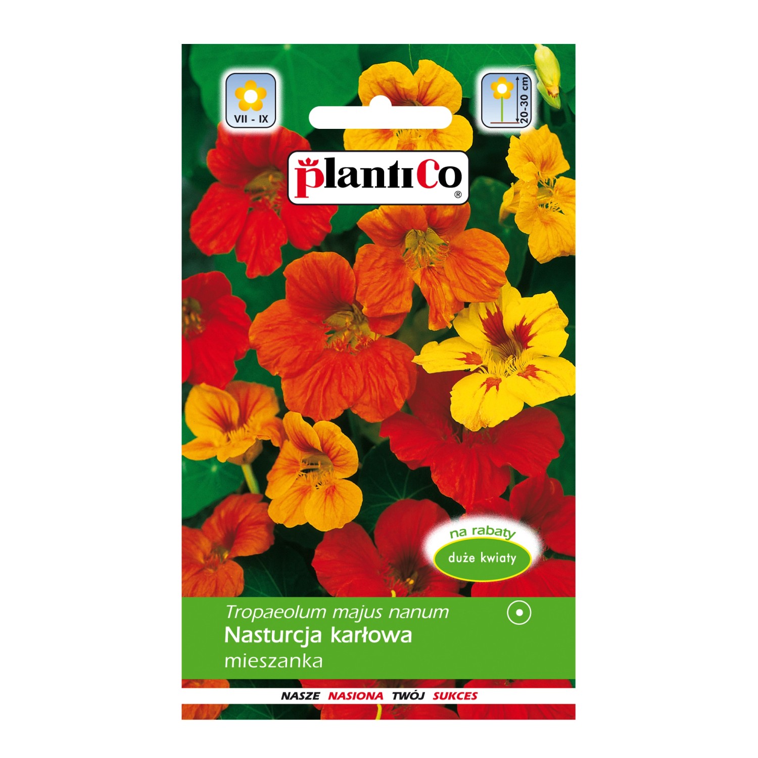 Nasturcja karłowa mix
