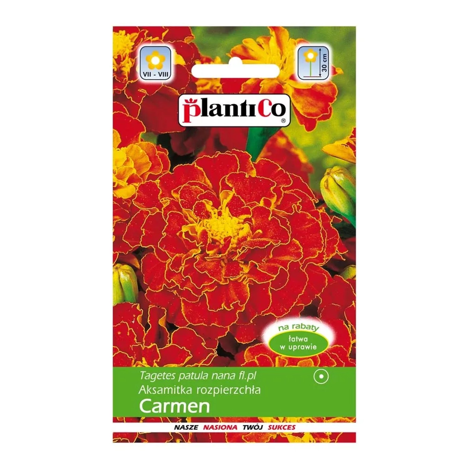 Aksamitka niska Carmen