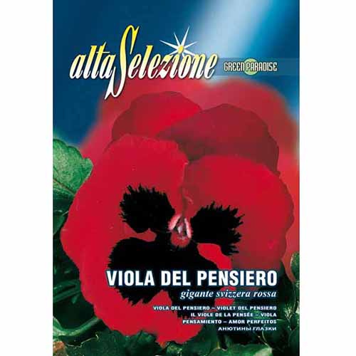 1 pac, Panseluțe Swiss Giant roșii - Semințe: Mod de ambalare: 0.4 g