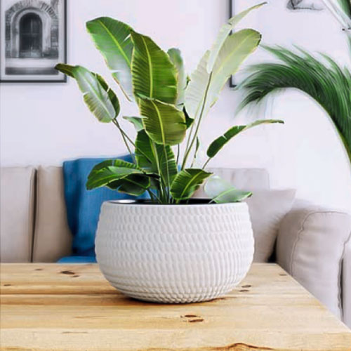 1 buc, Set de mască și ghiveci Lina Ball, alb, 32 cm - : Mod de ambalare: 1 buc