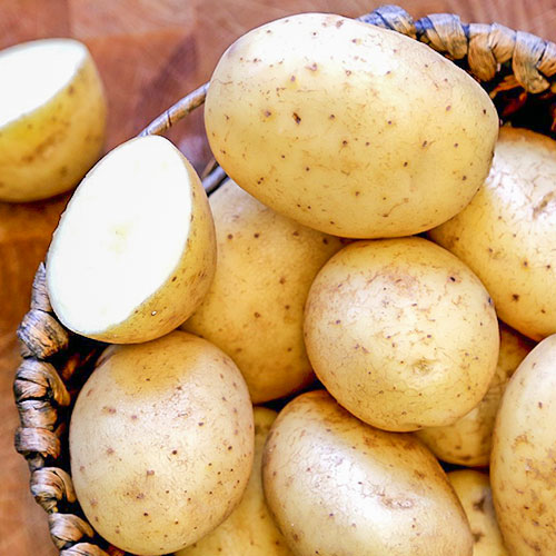 1 kg, Cartofi de sămânță Maris Pipers - Tuberculi: Mod de ambalare: 1 kg