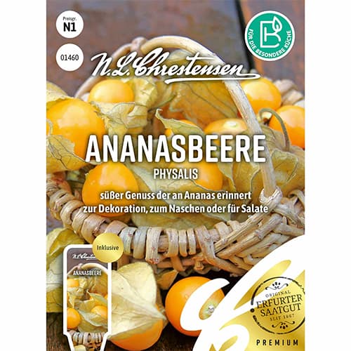 1 szt, Ananasbeere Physalis - Samen: Ilość w opakowaniu: 1 Stück