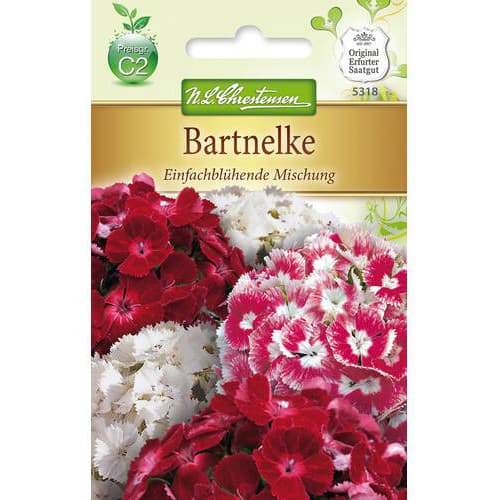 1 szt, Bartnelke Mischung - Samen: Ilość w opakowaniu: 1 Stück