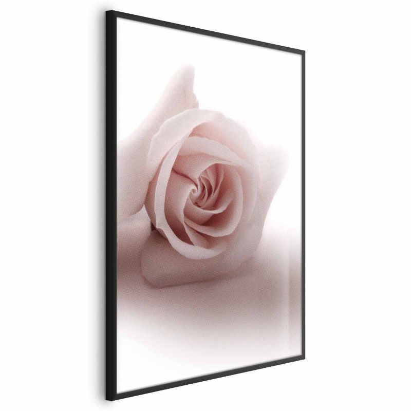 Plakat Artgeist Różany cień 60x90 cm z ramą czarną 1 szt
