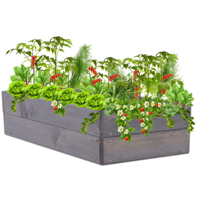 Warzywnik MODO24 grządka szara impregnacja 18x120x30 cm 1 szt.