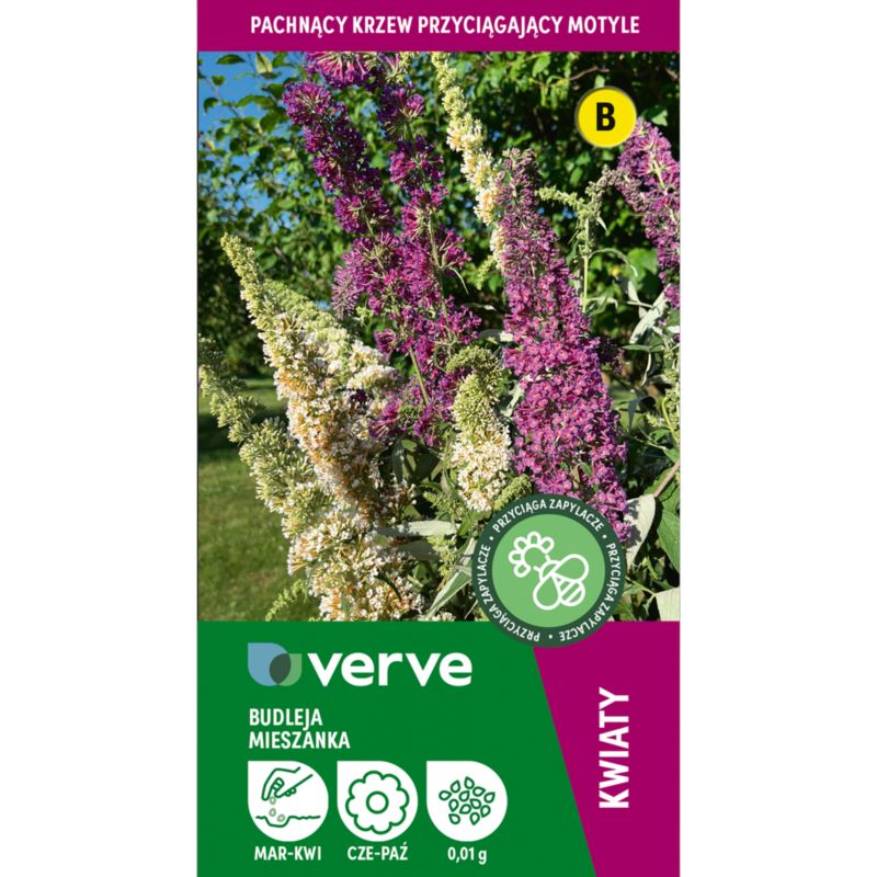 Nasiona budleja Dawida mix Verve