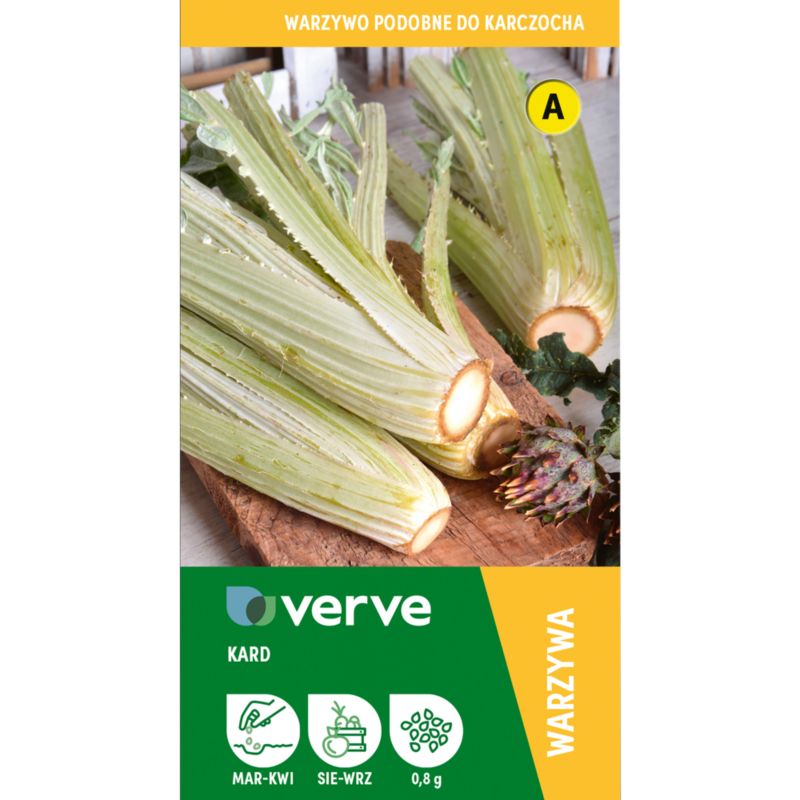 Nasiona karczoch hiszpański Bianco Avorio Verve