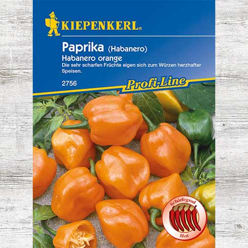 1 szt, Papryka ostra chili Habanero orange - Nasiona: Ilość w opakowaniu: 1 opak