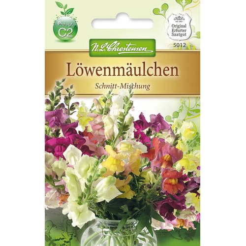 1 szt, Lwia paszcza Schnitt, mix kolorow - Nasiona: Ilość w opakowaniu: 1300 szt.