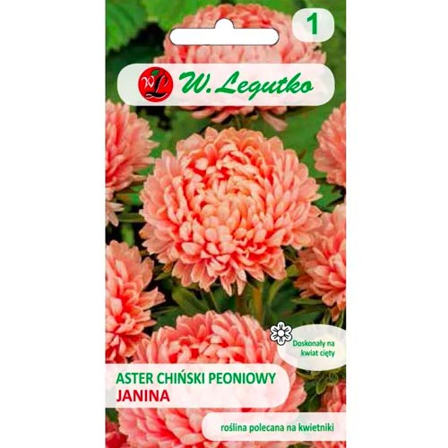1 szt, Aster peoniowy Janina - Nasiona: Ilość w opakowaniu: 0.5 g
