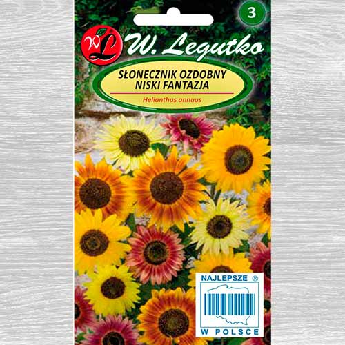 1 szt, Słonecznik ozdobny niski Fantazja, mieszanka Legutko - Nasiona: Ilość w opakowaniu: 2 g