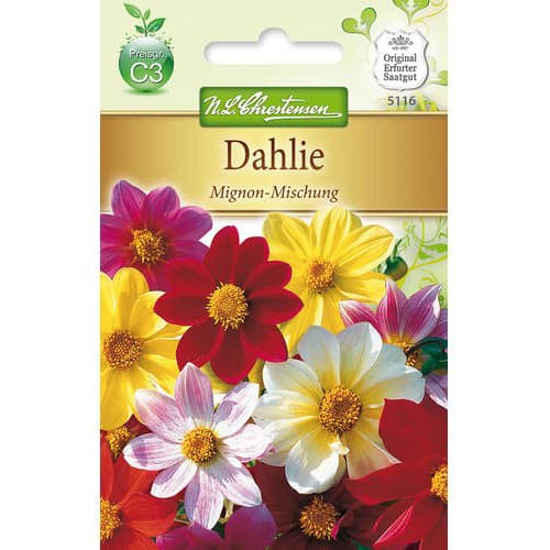 Dalia Mignon, mix - Nasiona. Ilość w opakowaniu: 1 opak - GradinaMax