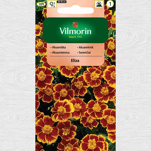 1 szt, Aksamitka rozpierzchła pojedyncza Eliza - Nasiona: Ilość w opakowaniu: 1 g