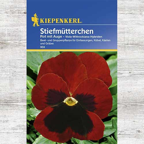 1 szt, Bratek Red eyed - Nasiona: Ilość w opakowaniu: 1 opak