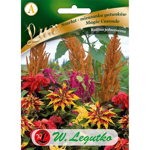 1 szt, Szarlat (Amaranthus) Magic Cascade, mix kolorow - Nasiona: Ilość w opakowaniu: 0.5 g