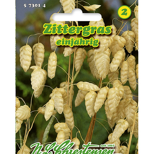 1 szt, Drżączka większa Chrestensen - Nasiona: Ilość w opakowaniu: 1 opak