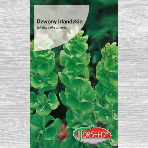 1 szt, Dzwony irlandzkie - Nasiona: Ilość w opakowaniu: 1 g