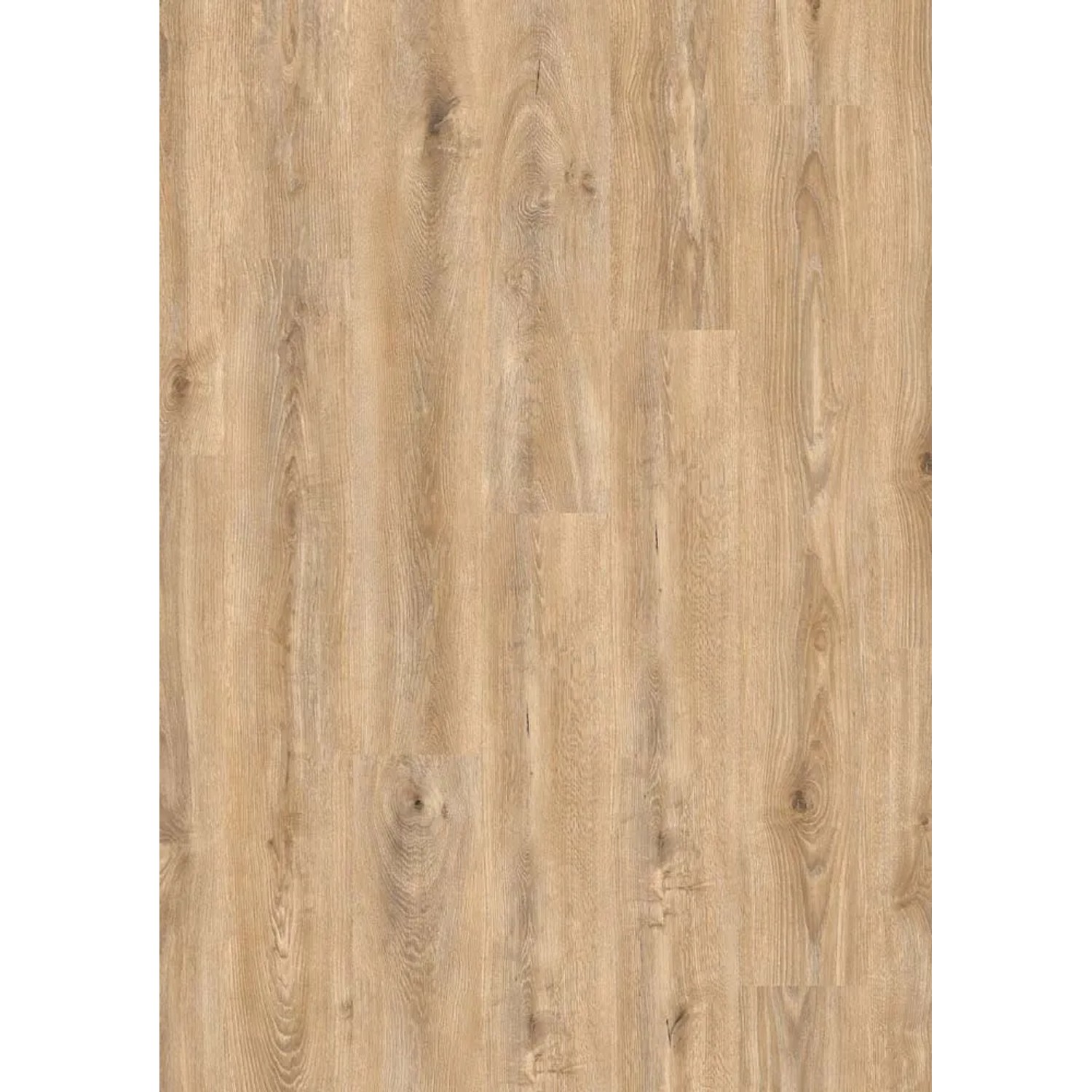 Kronospan Panel podłogowy Dąb Franklin 8 mm AC 5