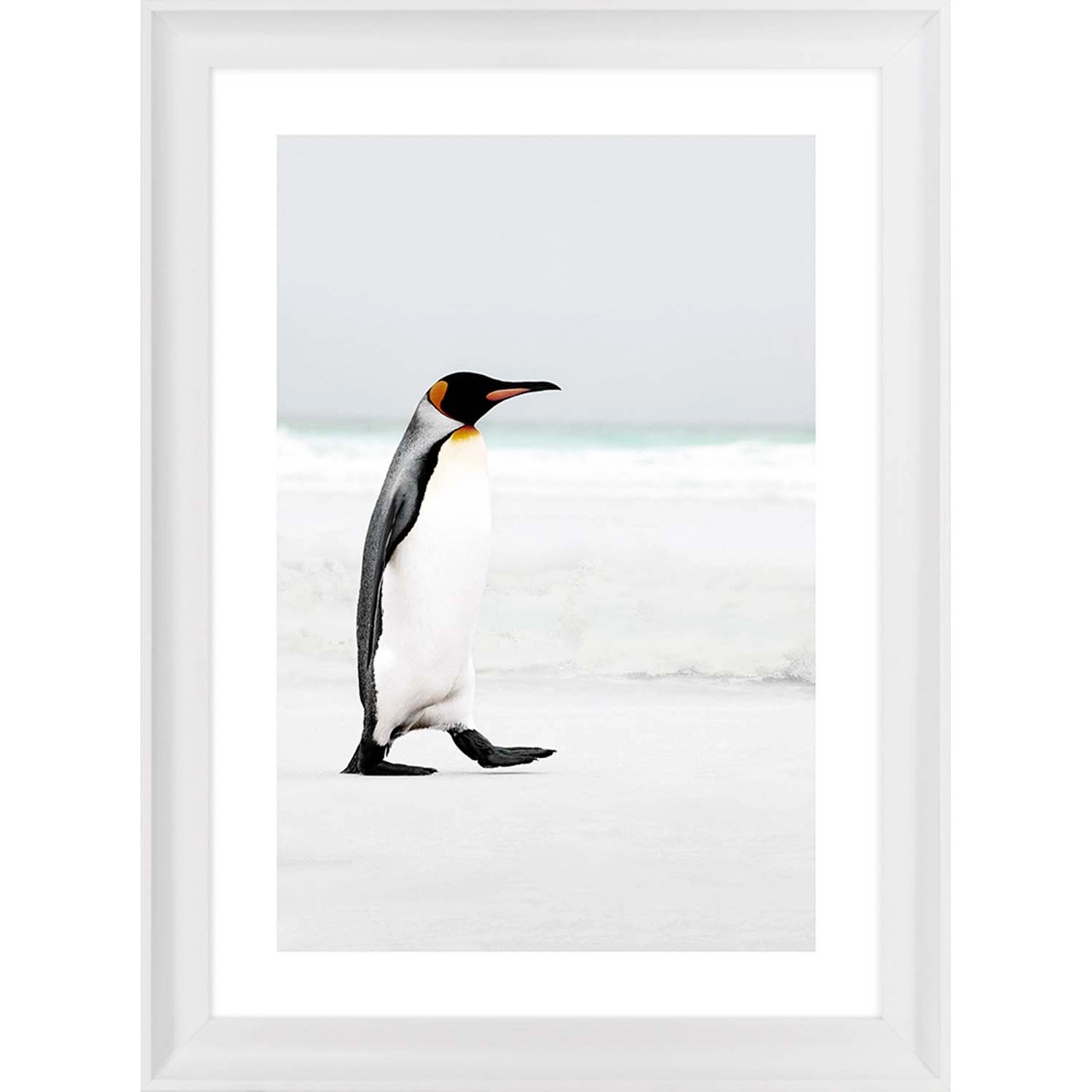 ARS LONGA Obraz PENGUIN ON THE BEACH 58 x 78 cm