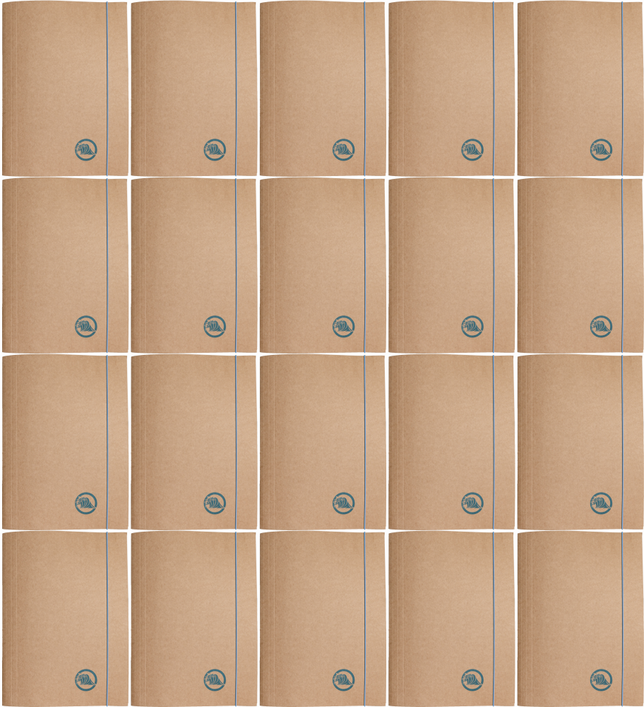 20x Teczka kartonowa z gumką Barbara Eco, A4+, 300g, woda