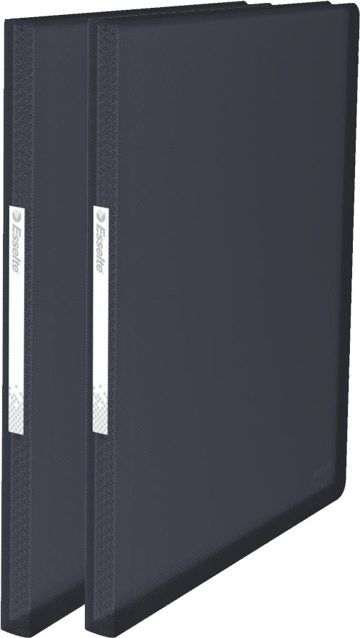 2x Album ofertowy Esselte Vivida, A4, 100 koszulek, czarny