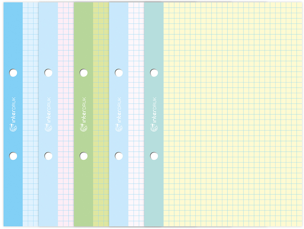 Wkład do segregatora w kolorową kratkę Interdruk, A5, 50 kartek, kolorowy margines