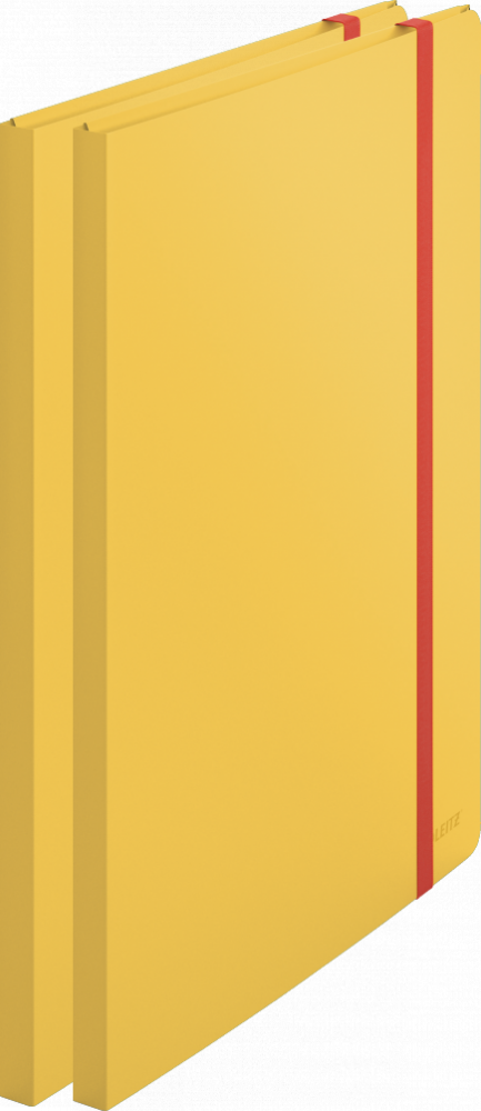 2x Album ofertowy poszerzony Leitz Cosy, A4, 20 koszulek, żółty