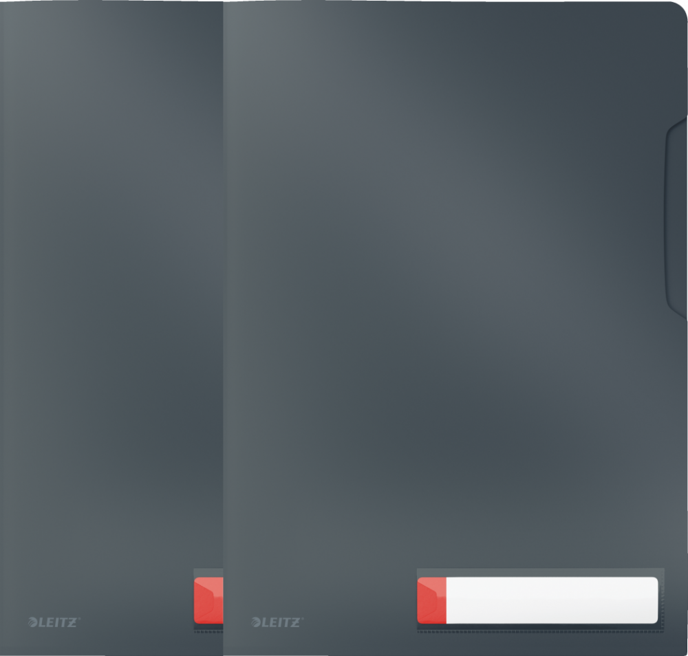 2x folder z kieszonką na etykietę Leitz Cosy, A4, do 40 kartek, szary