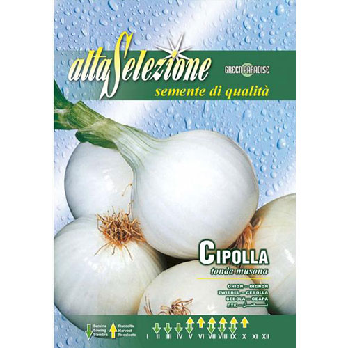1 pac, Ceapă albă Tonda Musona - Semințe: Mod de ambalare: 3 g