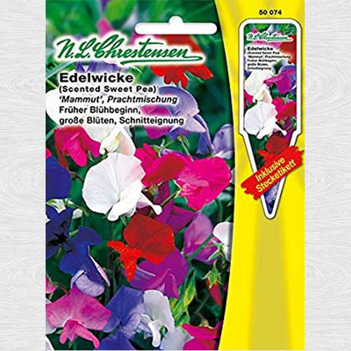 1 pac, Lathyrus odoratus (Sângele voinicului) Mammut, mix multicolor - Semințe: Mod de ambalare: 1 pac