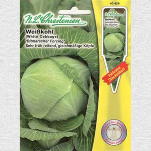 1 pac, Varză albă Dithmarscher Forcing - Semințe: Mod de ambalare: 1 pac
