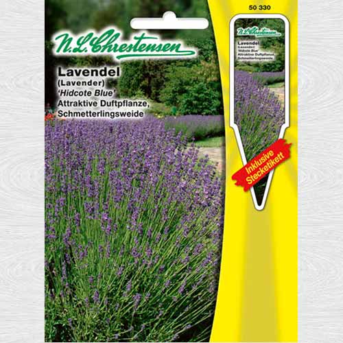 1 pac, Lavandă Hidcote Blue - Semințe: Mod de ambalare: 1 pac