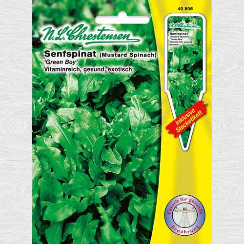 1 pac, Spanac oriental Green Boy - Semințe: Mod de ambalare: 1 pac