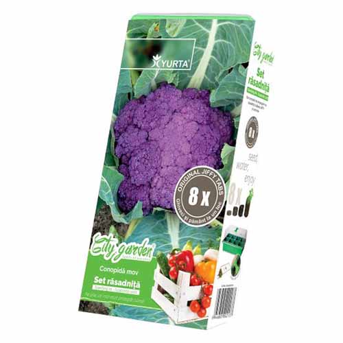 1 pac, Set răsadniță medie și Conopidă mov - Semințe: Mod de ambalare: 1 pac