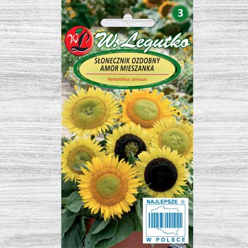 1 pac, Floarea soarelui decorativă Amor Legutko - Semințe: Mod de ambalare: 3 g